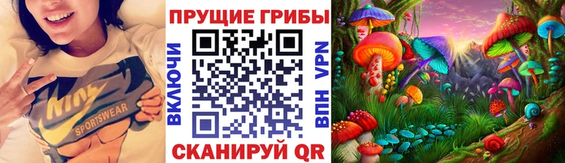 Галлюциногенные грибы GOLDEN TEACHER  как найти   Шадринск 